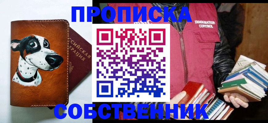 прописка поиск в Курске
